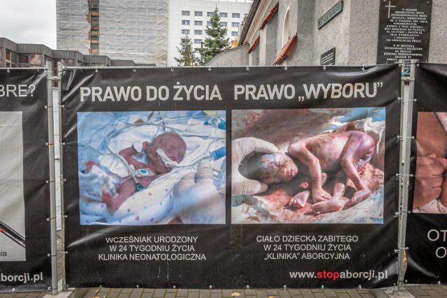 Jedno ze zdjęć na wystawie, na którą codziennie patrzą dzieci w Gdyni.