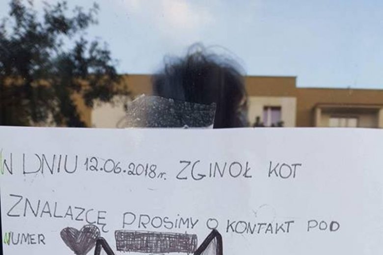 Ogłoszenie dziecka w sprawie zaginionego kota.