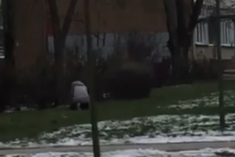 Nazwisko kobiety znęcającej się nad psem nie jest jeszcze znane