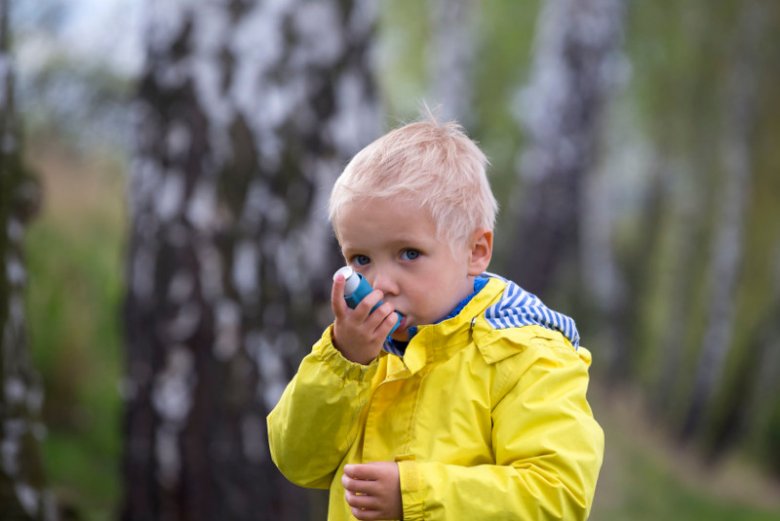 Co pyli w kwietniu? Lista roślin