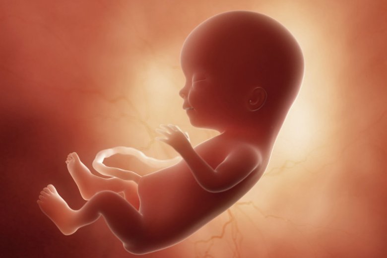 Jak wygląda 15. tydzień ciąży?