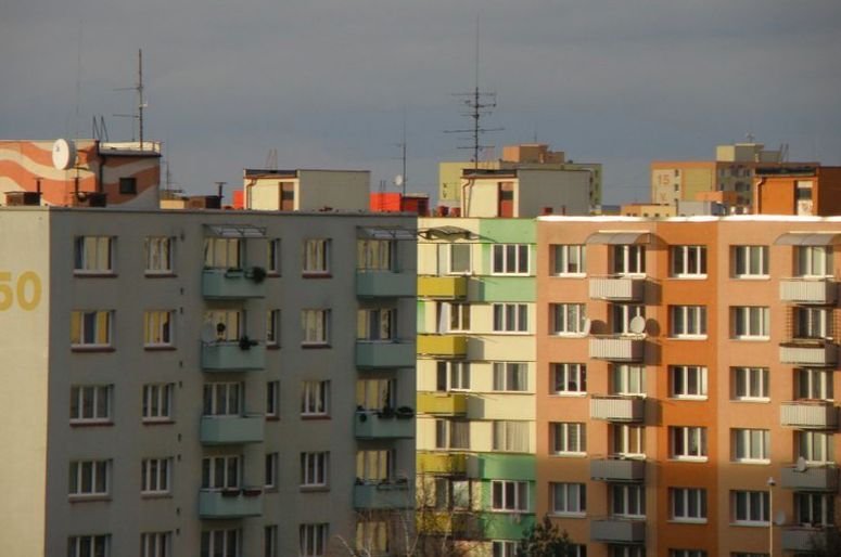 Sposobów na komary jest mnóstwo. Nie każdy jednak działa