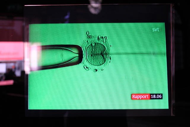 Prace nad ustawą regulującą in vitro trwały przeszło dziesięć lat.