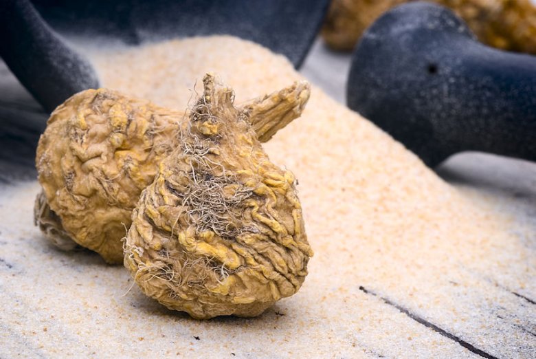 Korzeń Maca nazywany jest naturalną viagrą. Ta peruwiańska roślina podnosi libido i płodność u mężczyzn
